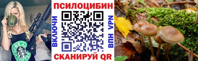Галлюциногенные грибы прущие грибы  KRAKEN маркетплейс  Городовиковск 