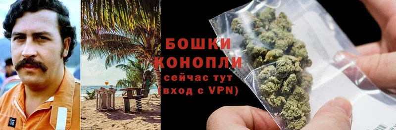 Каннабис Amnesia  купить   Городовиковск 