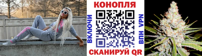 купить  цена  Городовиковск  Бошки марихуана VHQ 